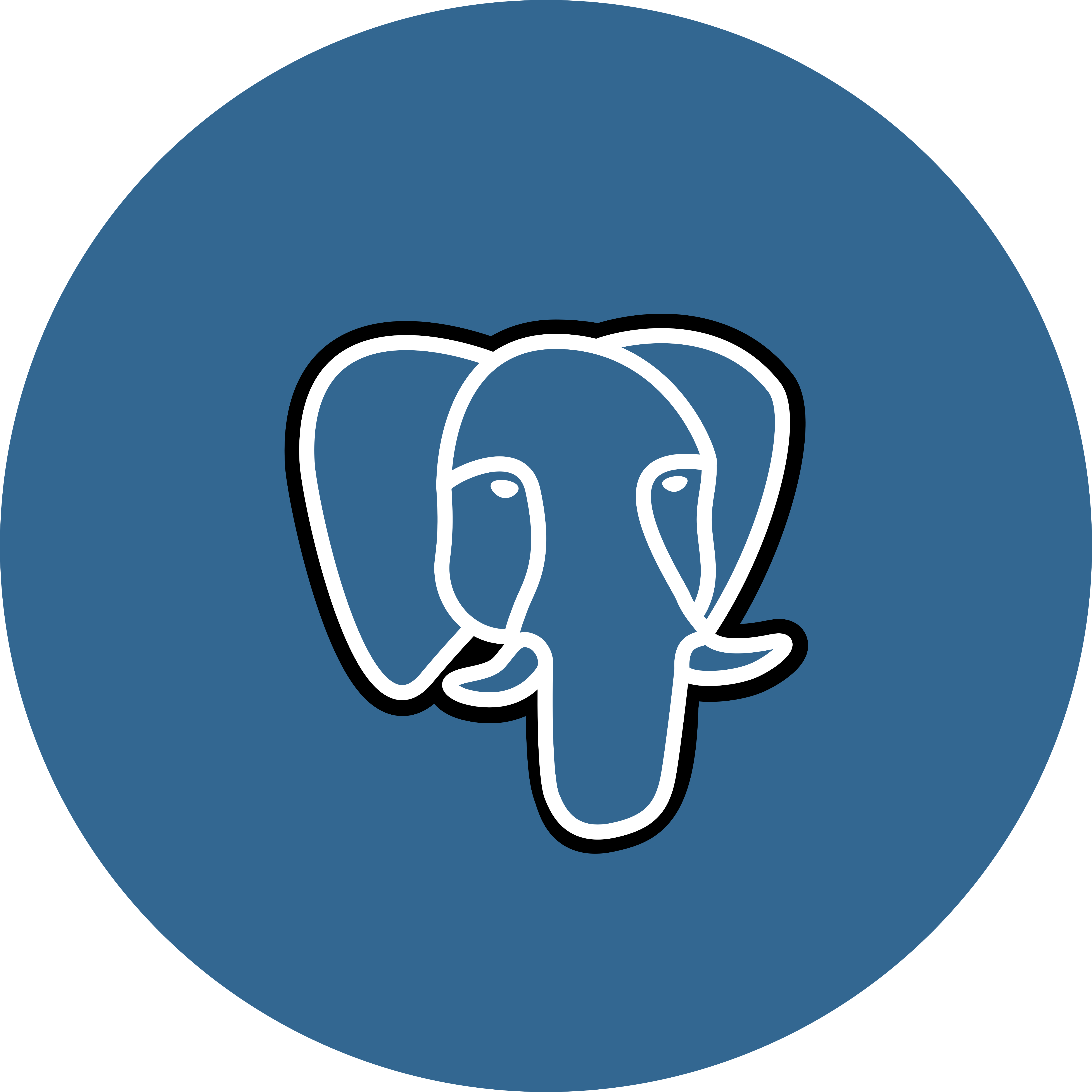 PostgreSQL